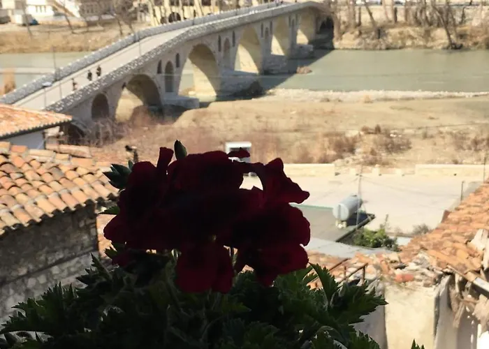 Romeo's بيت ضيافة *